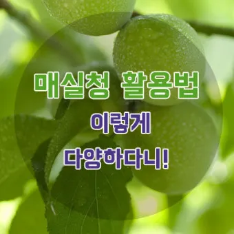 매실청 건더기 활용 처리 방법 정리_10