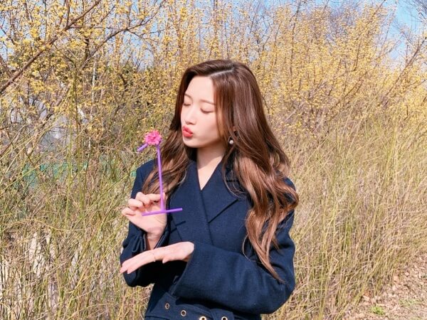 꽃배경-문가영