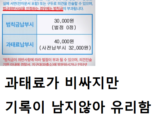 과태료 명세서