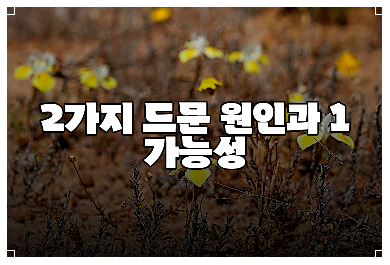 2가지 드문 원인과 1 가능성