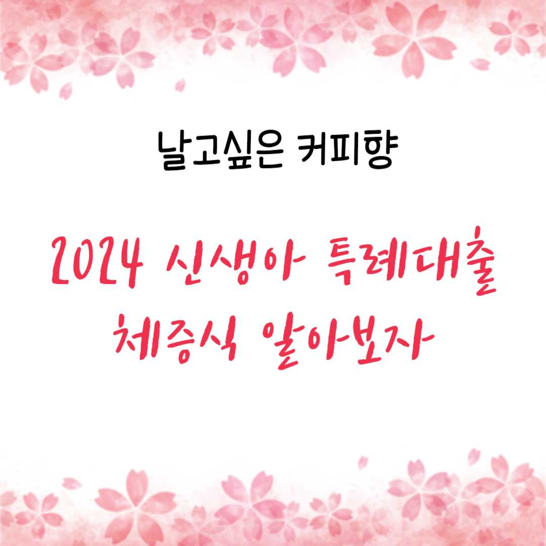 2024 신생아 특례대출 체증식