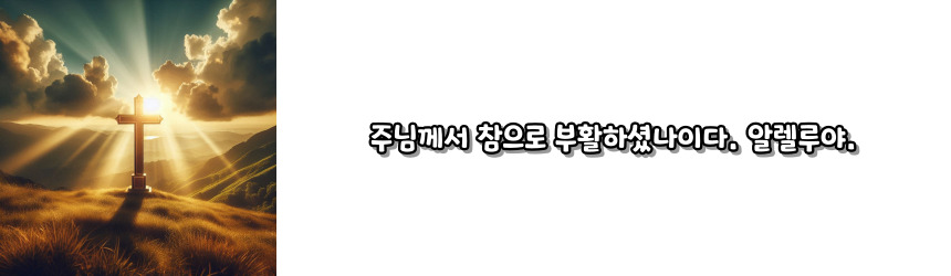 천주교 부활 삼종 기도_주요 기도문