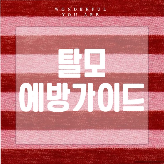 탈모 예방 가이드: 생활습관으로 바꾸는 건강한 두피