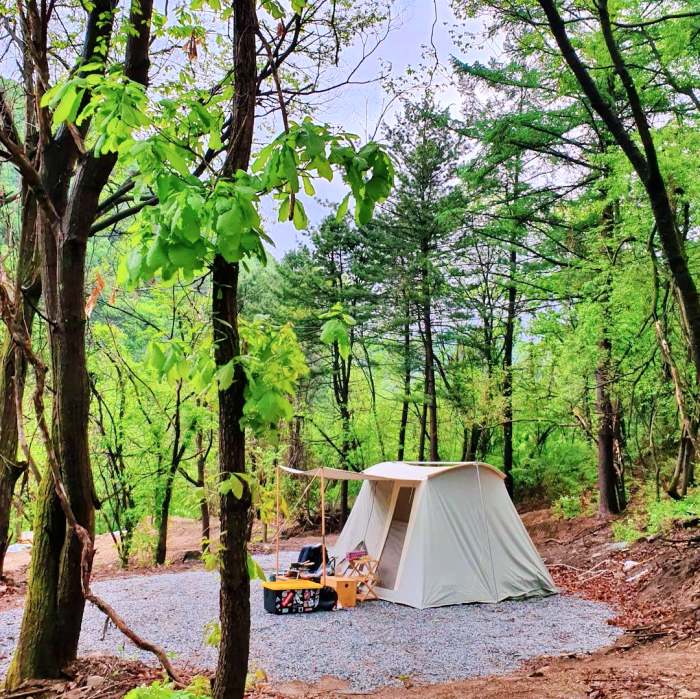 생방송오늘저녁 저 푸른 초원 위에 가평 설악 여행 추천