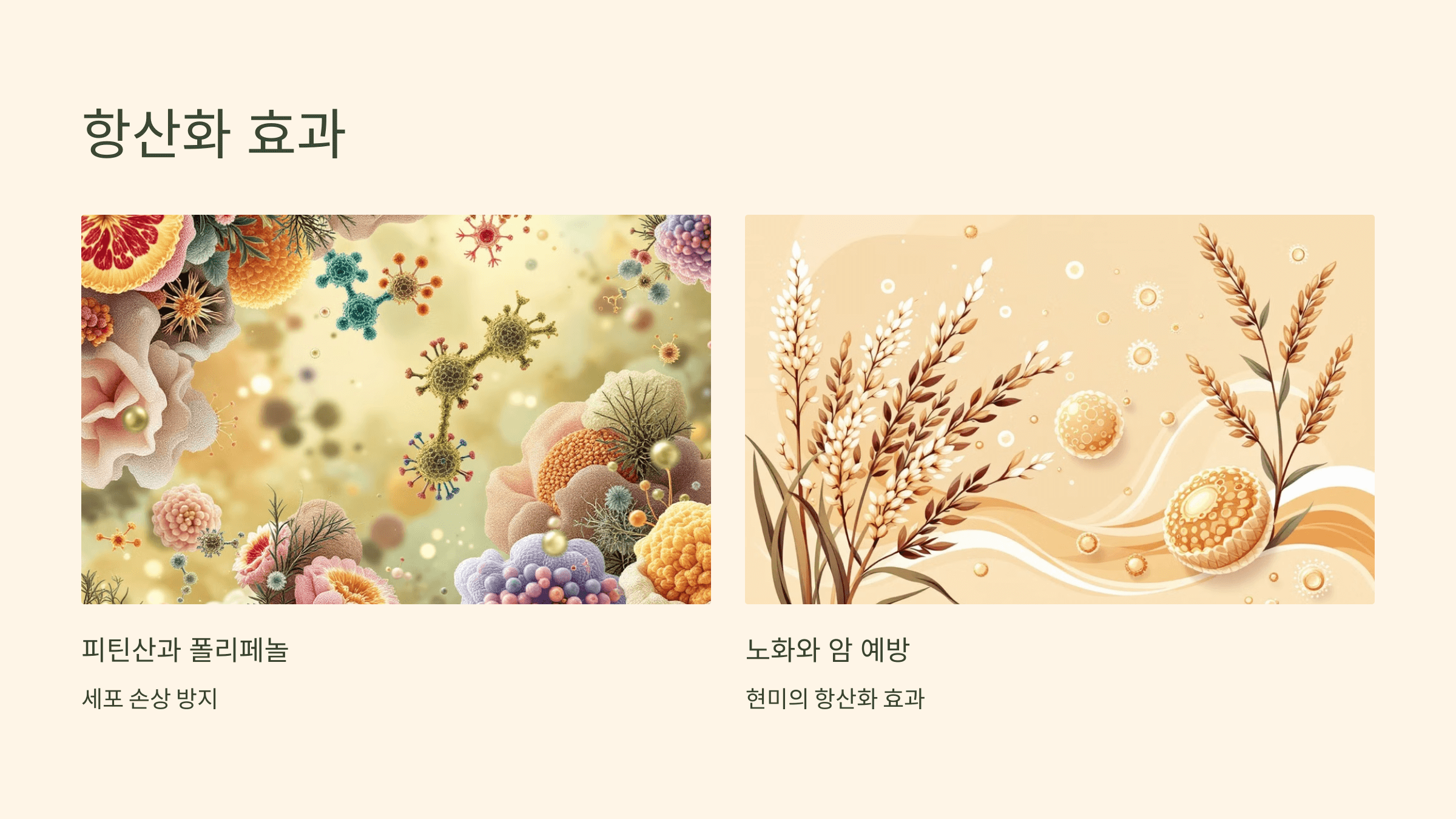 현미 사진입니다.