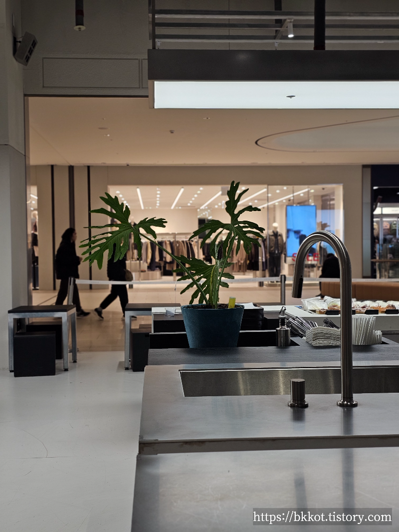 더트러플베이커리