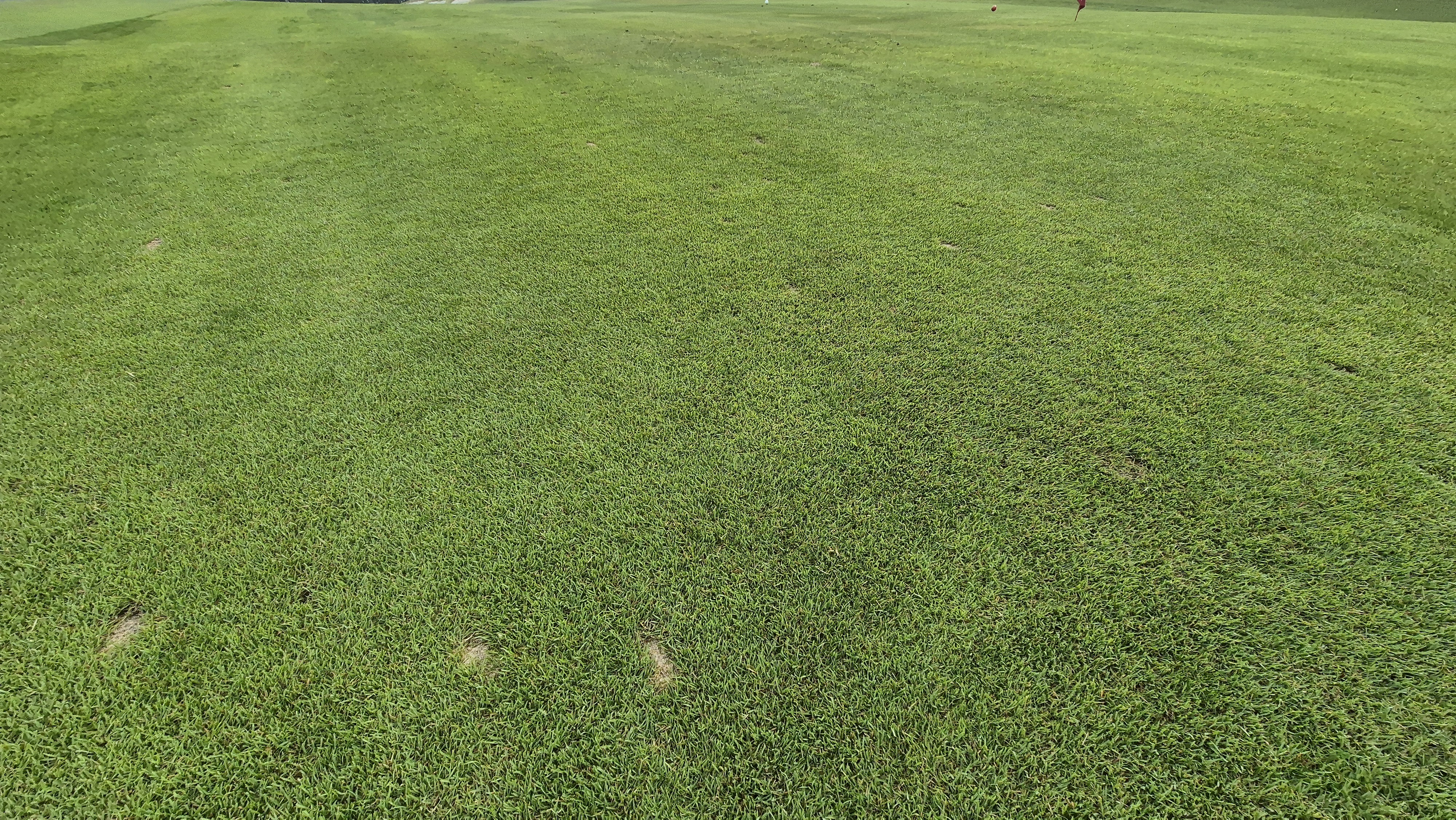 오로라cc 코스 관리 상태