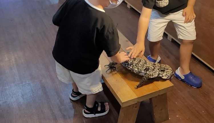 센트럴 곤충 생태농장