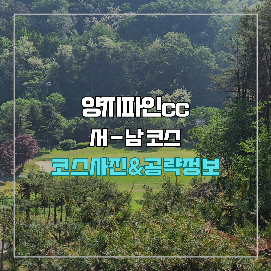 양지파인cc 서-남 코스 사진 및 공략 정보