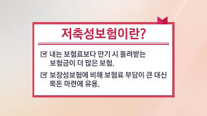 연말정산 보험료 공제 궁금증 해결