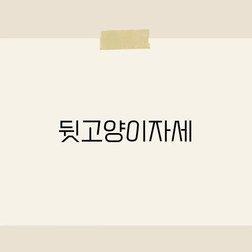 뒷고양이자세, 고양이의 편안한 자세, 그 의미와 건강 효과