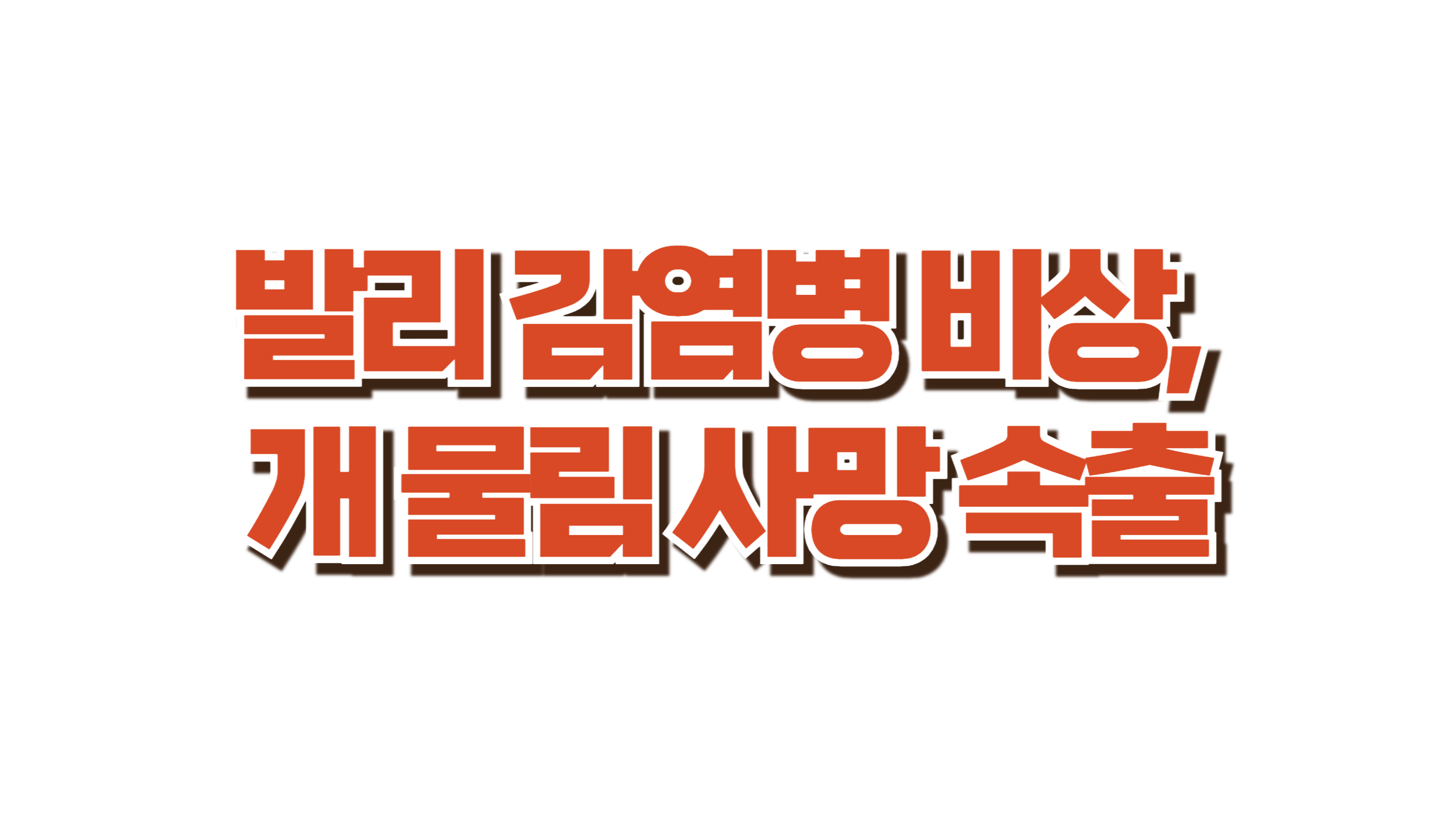 발리 감염병 비상, 개 물림 사망 속출 사진