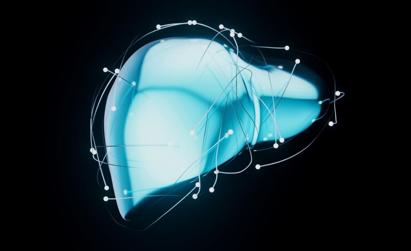 간 모양 이미지