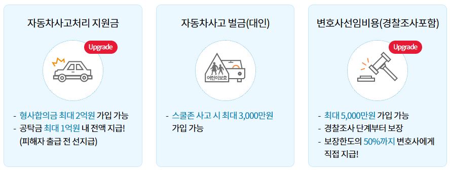 운전자보험-보장-범위