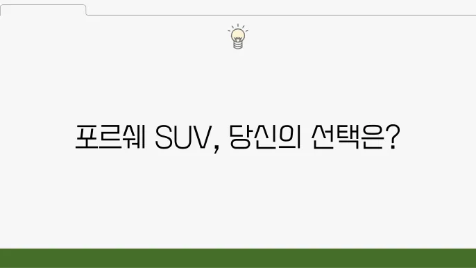 포르쉐 SUV 비교, 포르쉐 마으로 보유외
