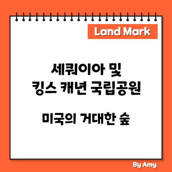 세쿼이아 및 킹스 캐년 국립공원: 미국의 거대한 숲