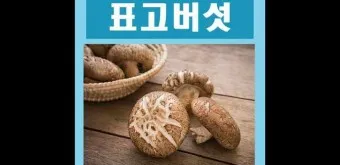 표고버섯 효능_9
