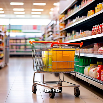 민생회복쿠폰 사용처