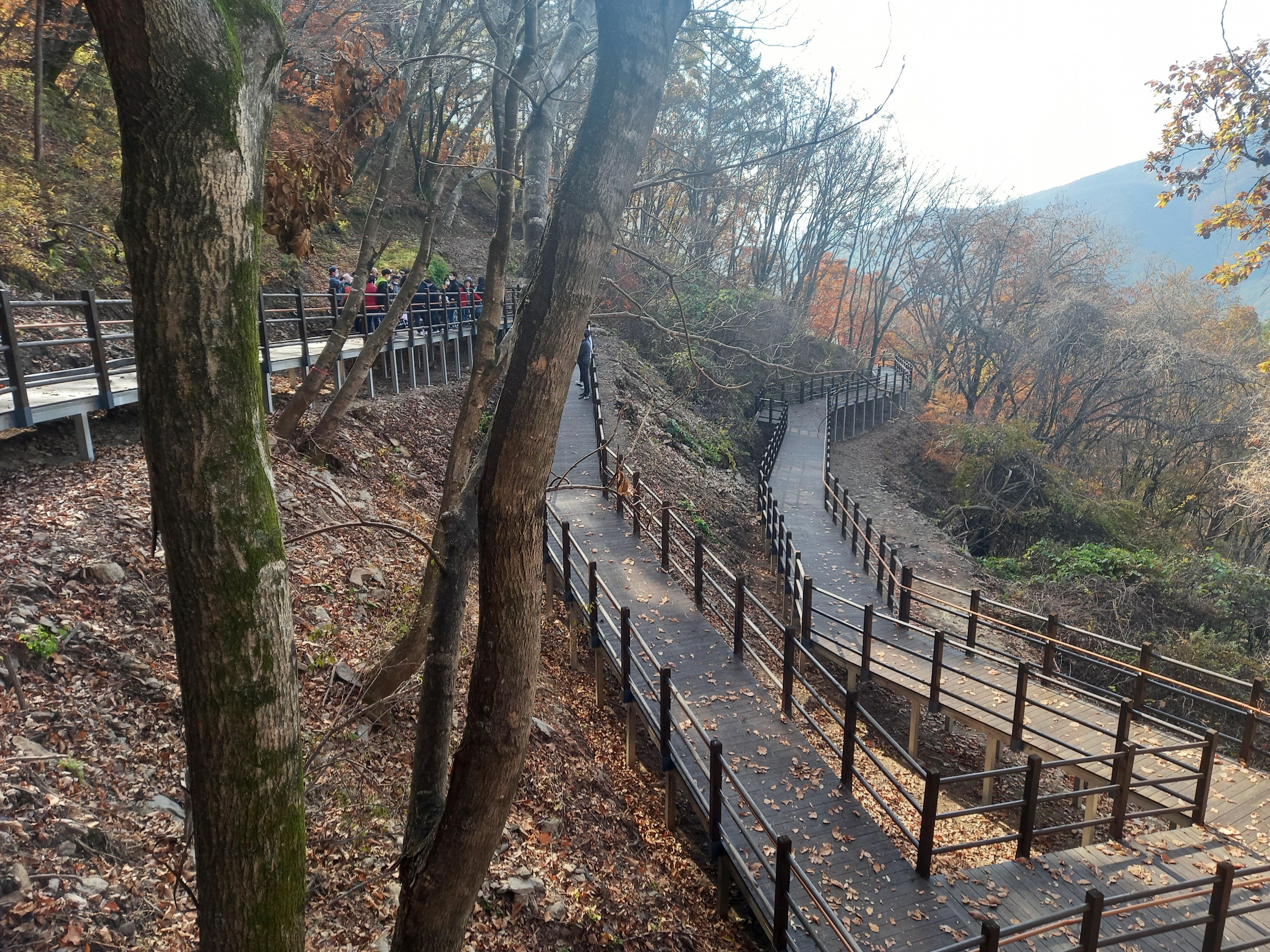 나혼자산다 옥자연 캠핑장! 양평휴양림 캠핑장 정보 총정리