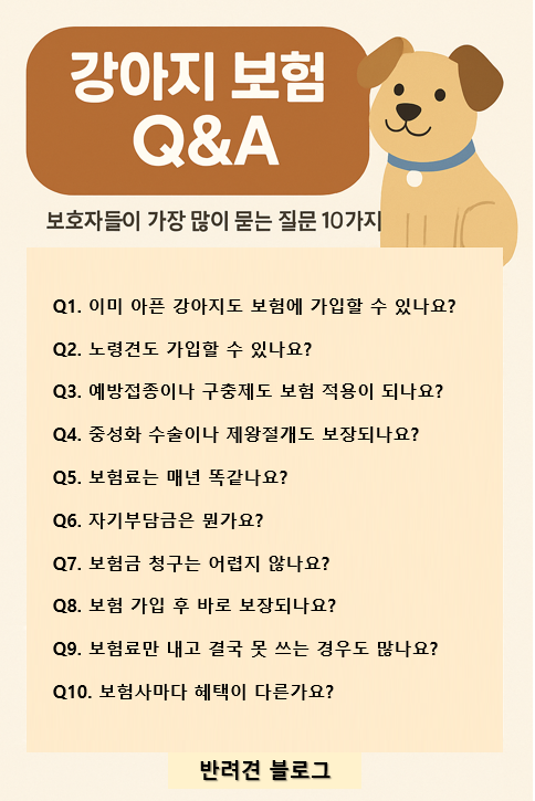 강아지 보험 Q&amp;A 이미지