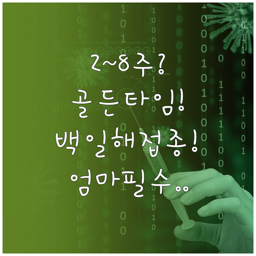 출산 후 2주에서 8주 사이, 엄마의..