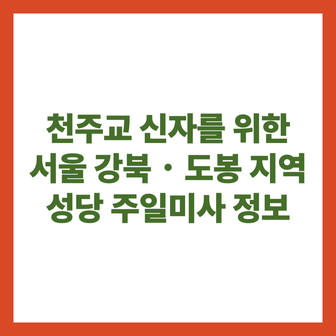 천주교 신자를 위한 서울 강북 도봉 지역 성당 주일미사 정보