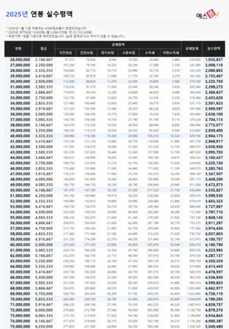 2025년 연봉 실수령액 계산표와 급여 관리 방법_3