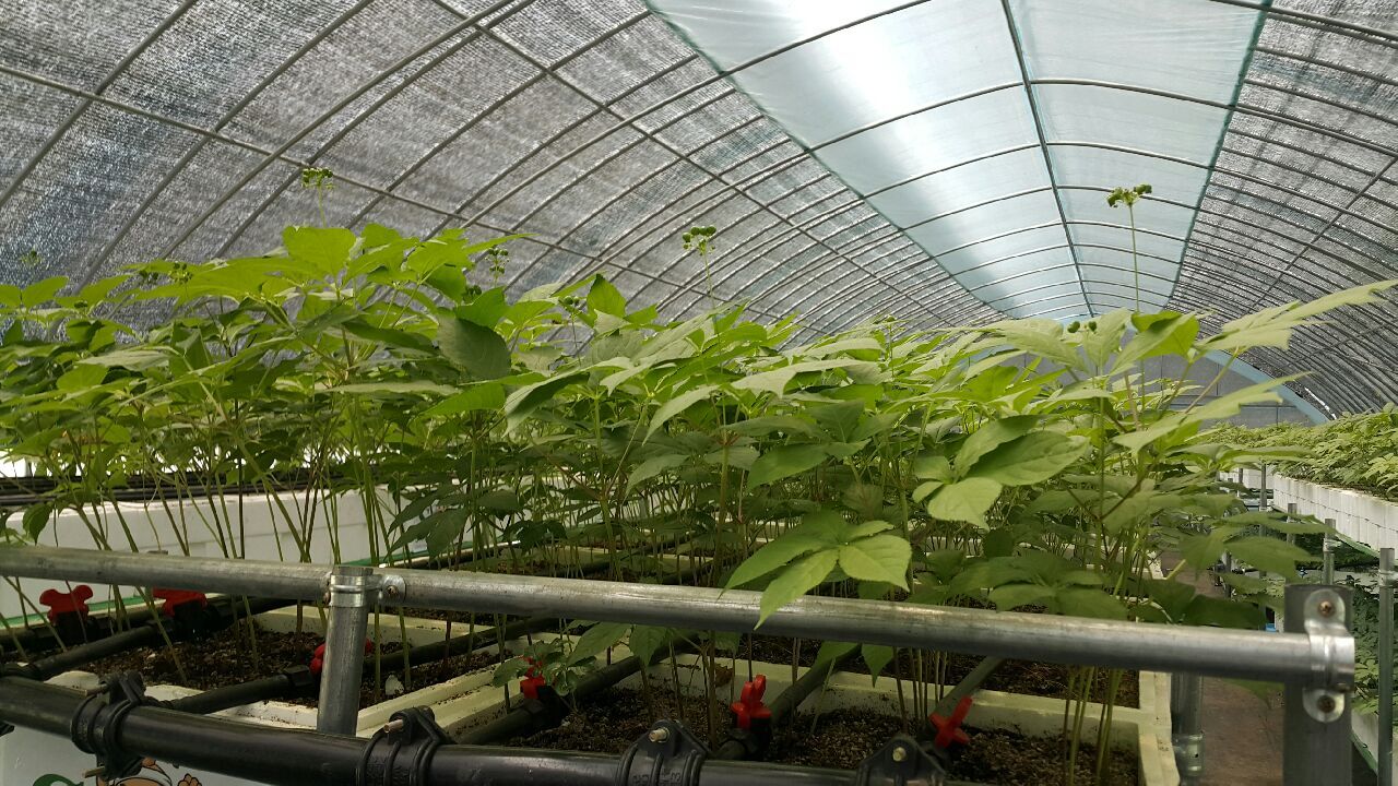 그린생명-스마트팜