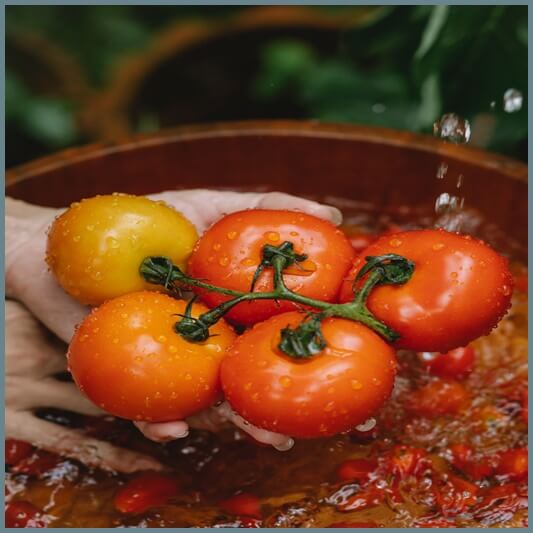 토마토