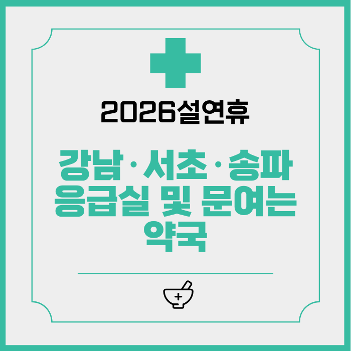 2026설연휴 강남&middot;서초&middot;송파 응급실 및 문여는 약국