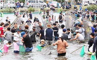 장흥 물축제(이미지출처 : 장흥 물축제 홈페이지)
