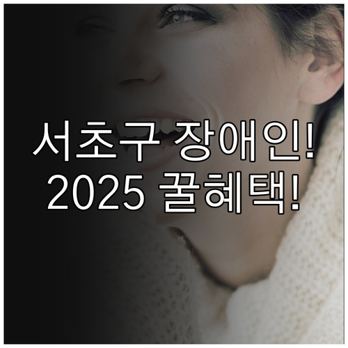 서초구 거주 등록 장애인 2025 구..