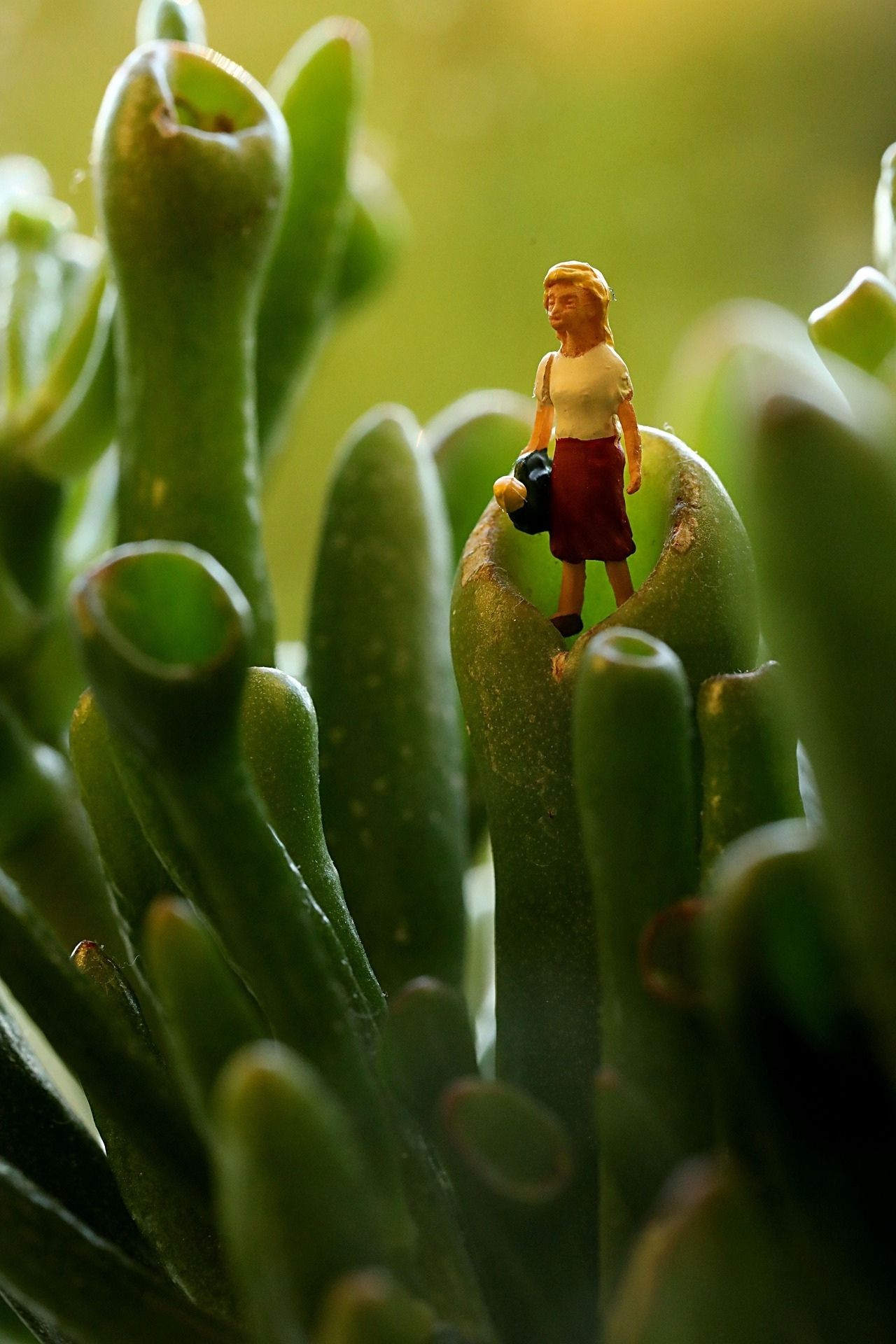 식물과 여자 모형 사진