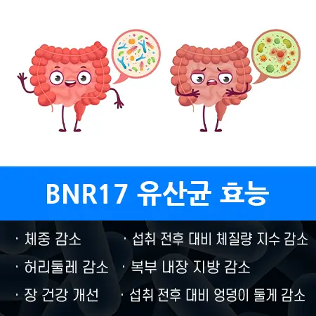 다이어트 BNR17 유산균