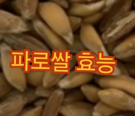 파로쌀-효능