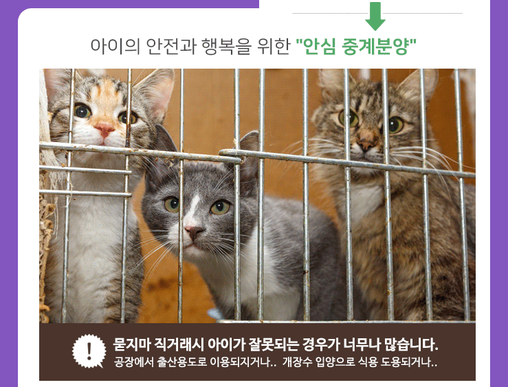 주세요닷컴