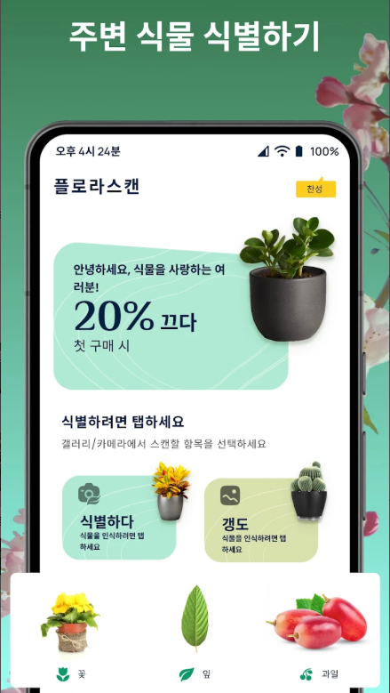 식물 이름찾기, 꽃 검색, 꽃 이름찾기 어플