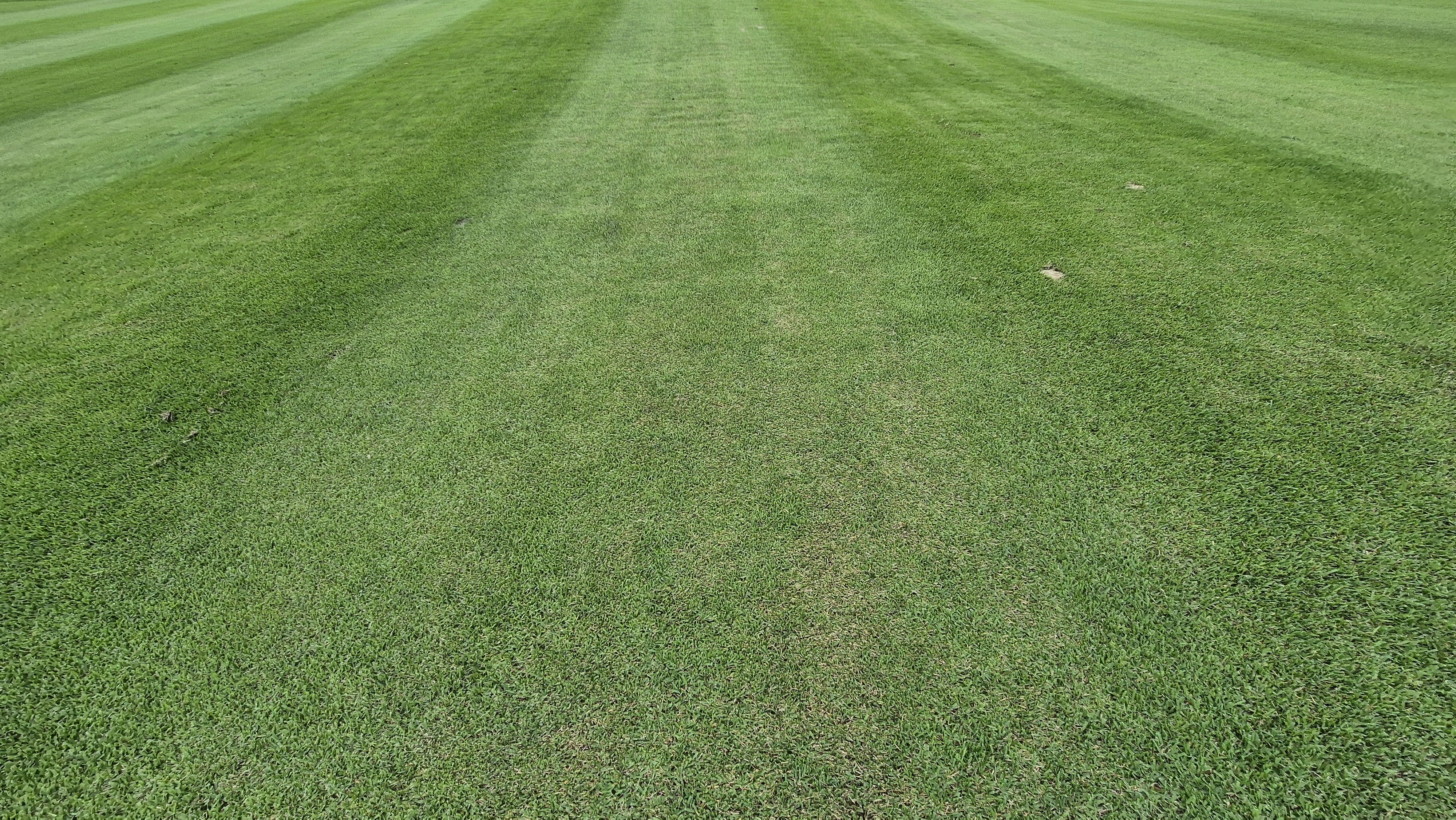 뉴스프링빌cc 라운드 후기