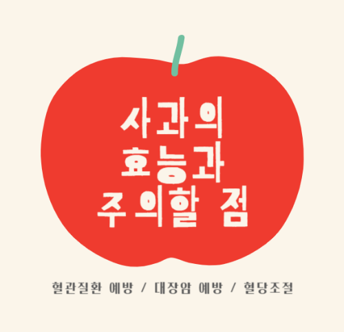 사과의 효능과 주의할 점