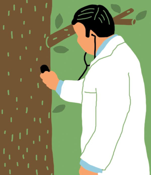 나무의사 응시 자격