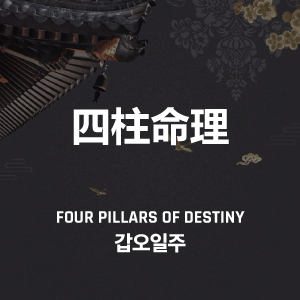 갑오일주