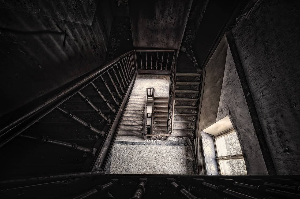 더라스트오브어스시즌2 관련 사진