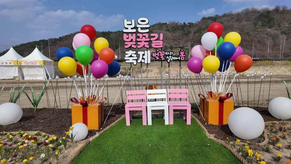 보은 벚꽃길 축제 2026 완벽 가이드