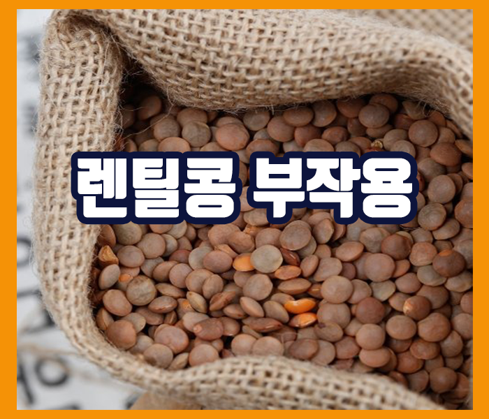 렌틸콩 부작용 - 통풍환자, 과다섭취시 신장부담, 알레르기 반응
