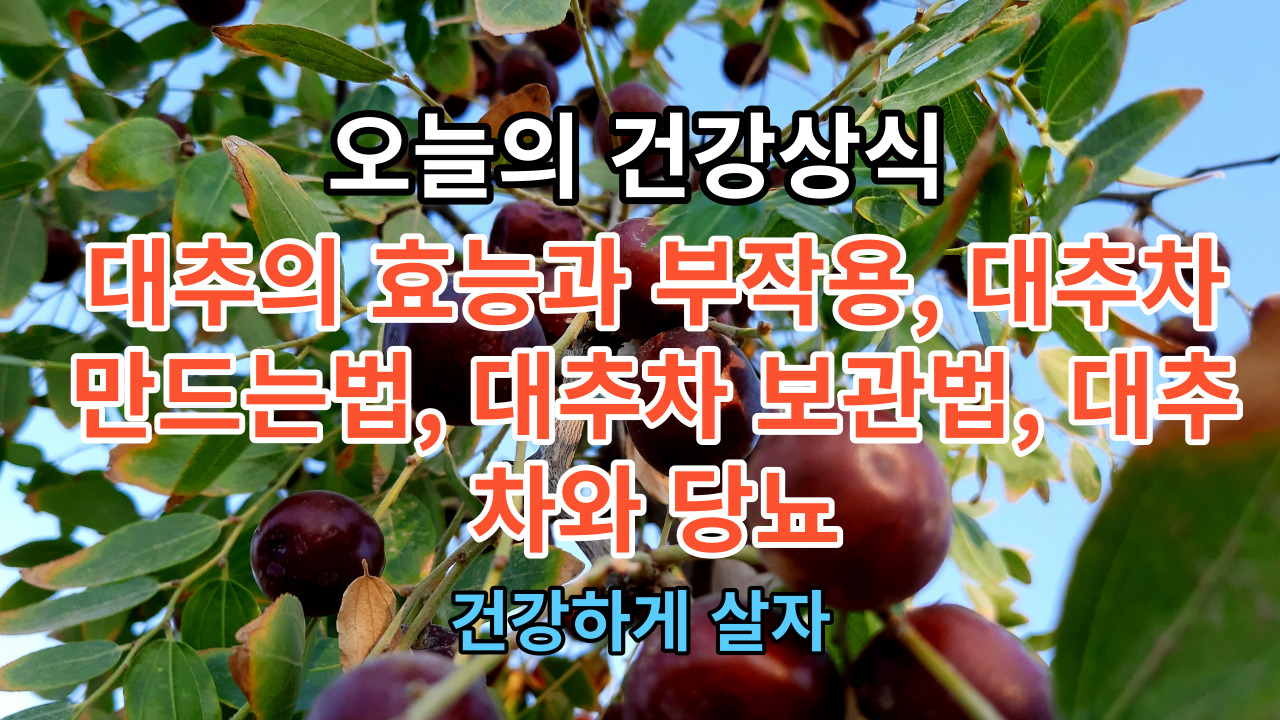 대추의 효능과 부작용, 대추차 만드는법, 대추차 보관법, 대추차와 당뇨