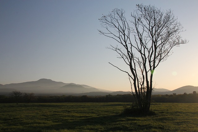 제주도에서 갈만한 곳 5곳