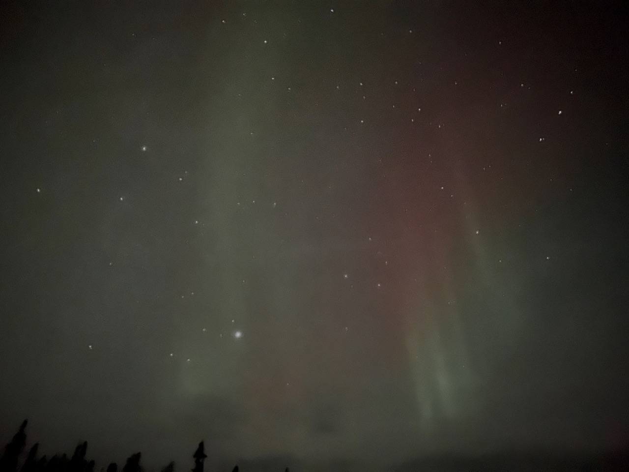 오로라 두두등장