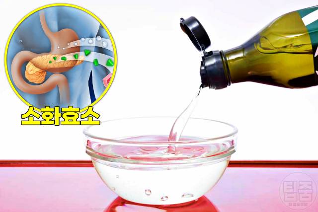 췌장에 좋은 음식 췌장염 회복 식단 코코넛오일 mct오일