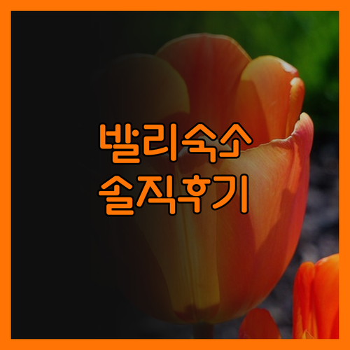 Villa Silas 리얼 후기 위치