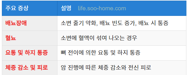 전립선암의 주요 증상과 초기 신호